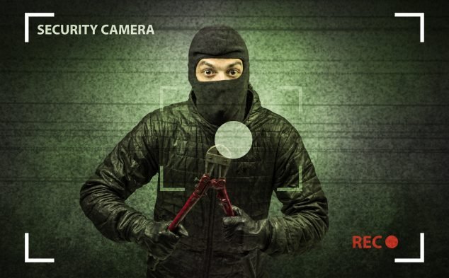 5+ Reasons Why Your Home Needs Security Cameras - Ctronics